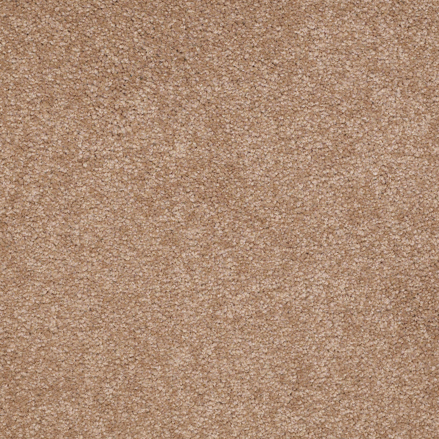 Shaw Floors - Carpet - Sandy Hollow I - 15' - Muffin
