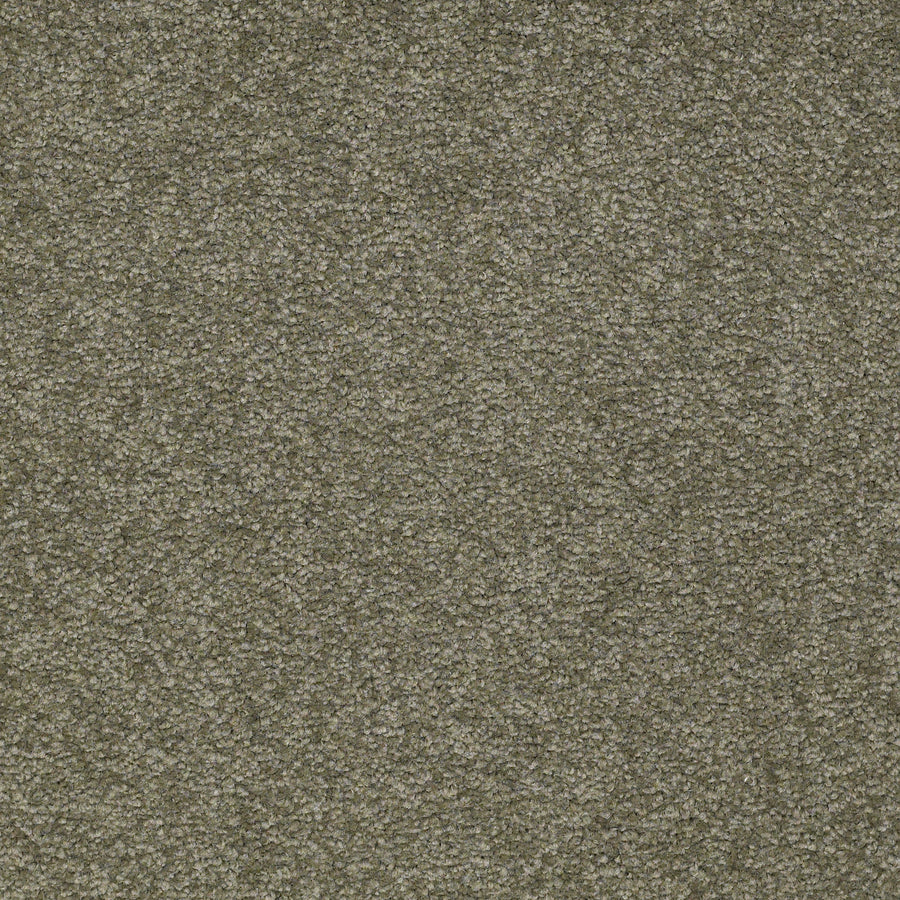 Shaw Floors - Carpet - Sandy Hollow II - 15' - Alpine Fern