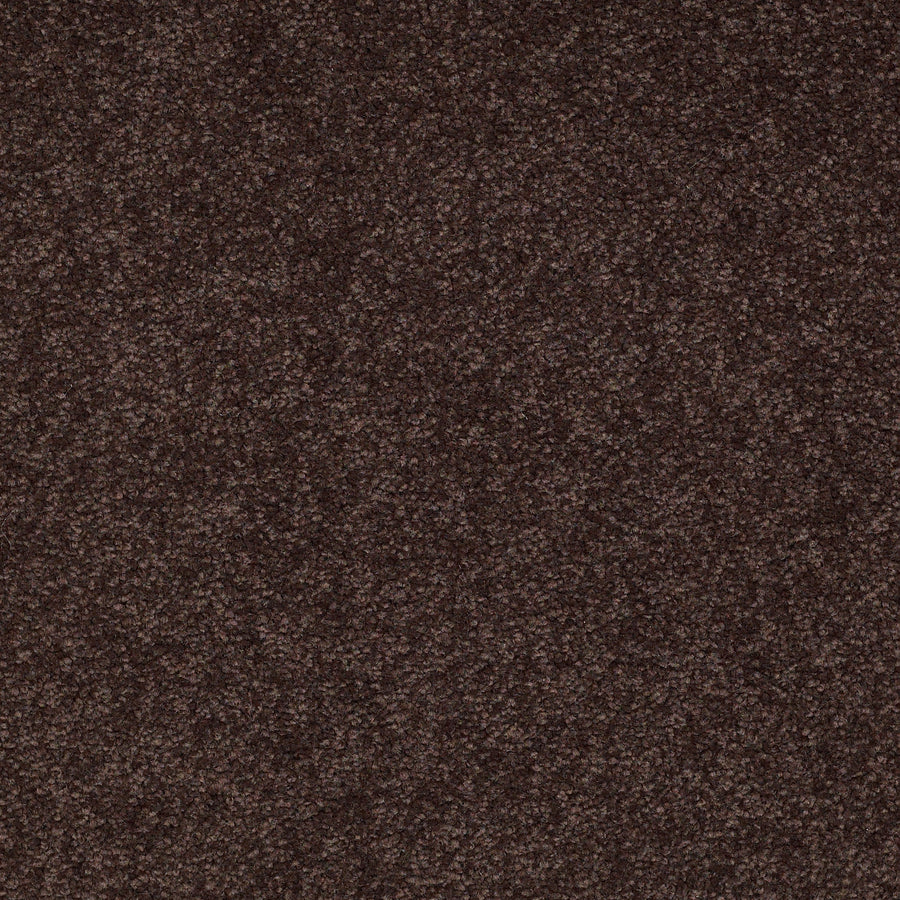Shaw Floors - Carpet - Sandy Hollow II - 15' - Tundra
