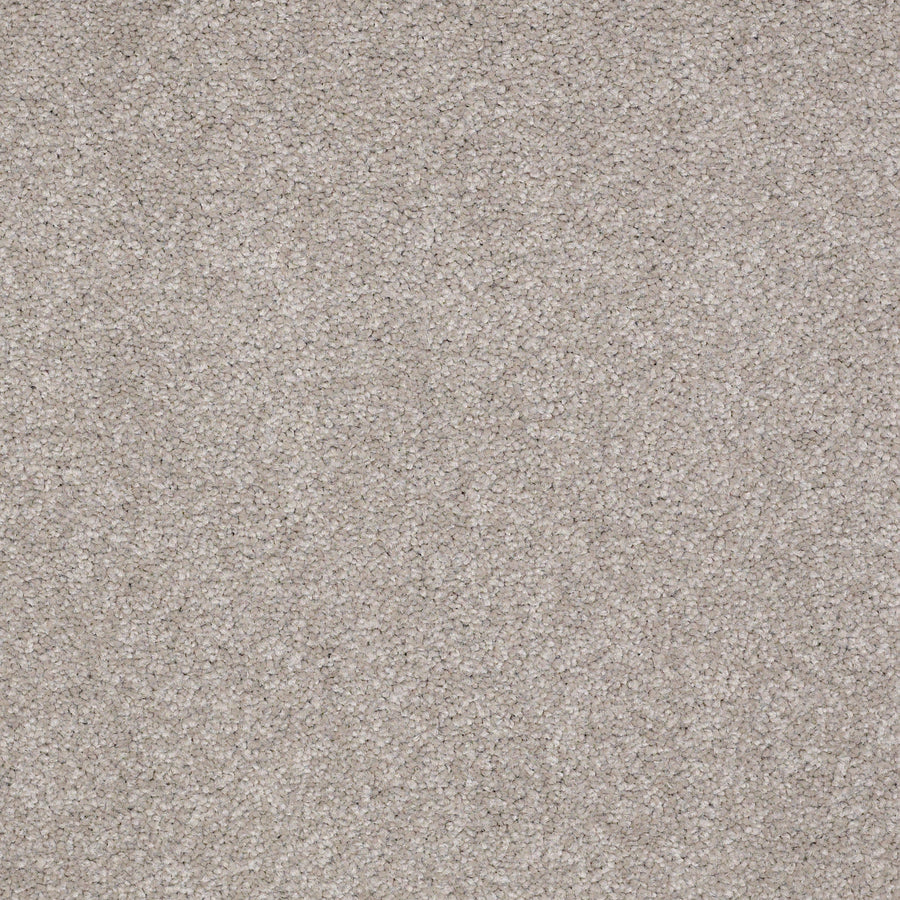 Shaw Floors - Carpet - Sandy Hollow III - 15' - London Fog