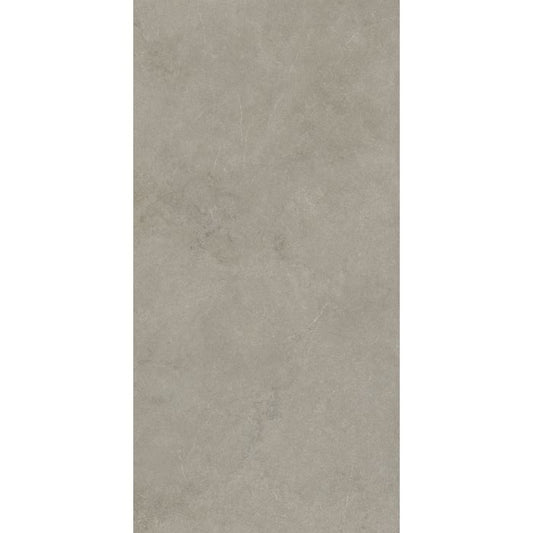 OLYMPIA TILE + STONE - Absolute Series - Porcelain Tile - Rupe - 12" x 24"