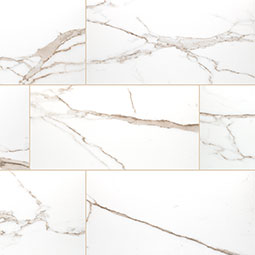MSI - SAVOY CREMA POLISHED - Tile - 24" x 48"