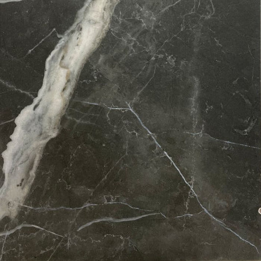 OLYMPIA TILE + STONE - Marmi Alpi Series - Porcelain Tile - St Laurent - 24" x 24"