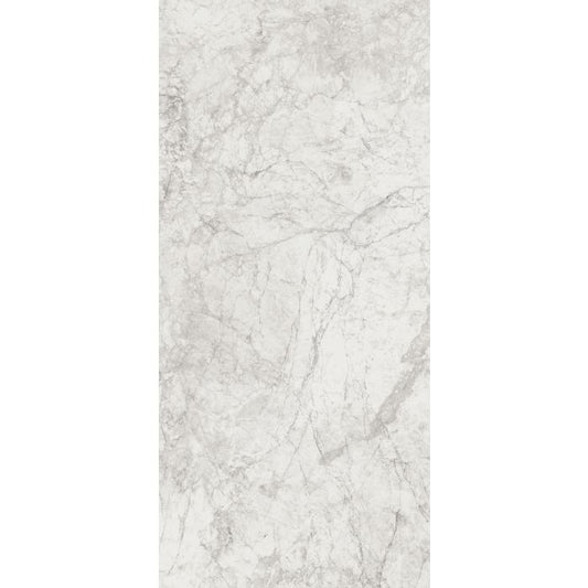 OLYMPIA TILE + STONE - Contact Series - Porcelain Tile - Stone - 24" x 48"