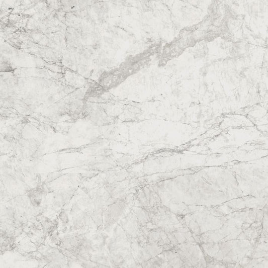 OLYMPIA TILE + STONE - Contact Series - Porcelain Tile - Stone - 24" x 24"
