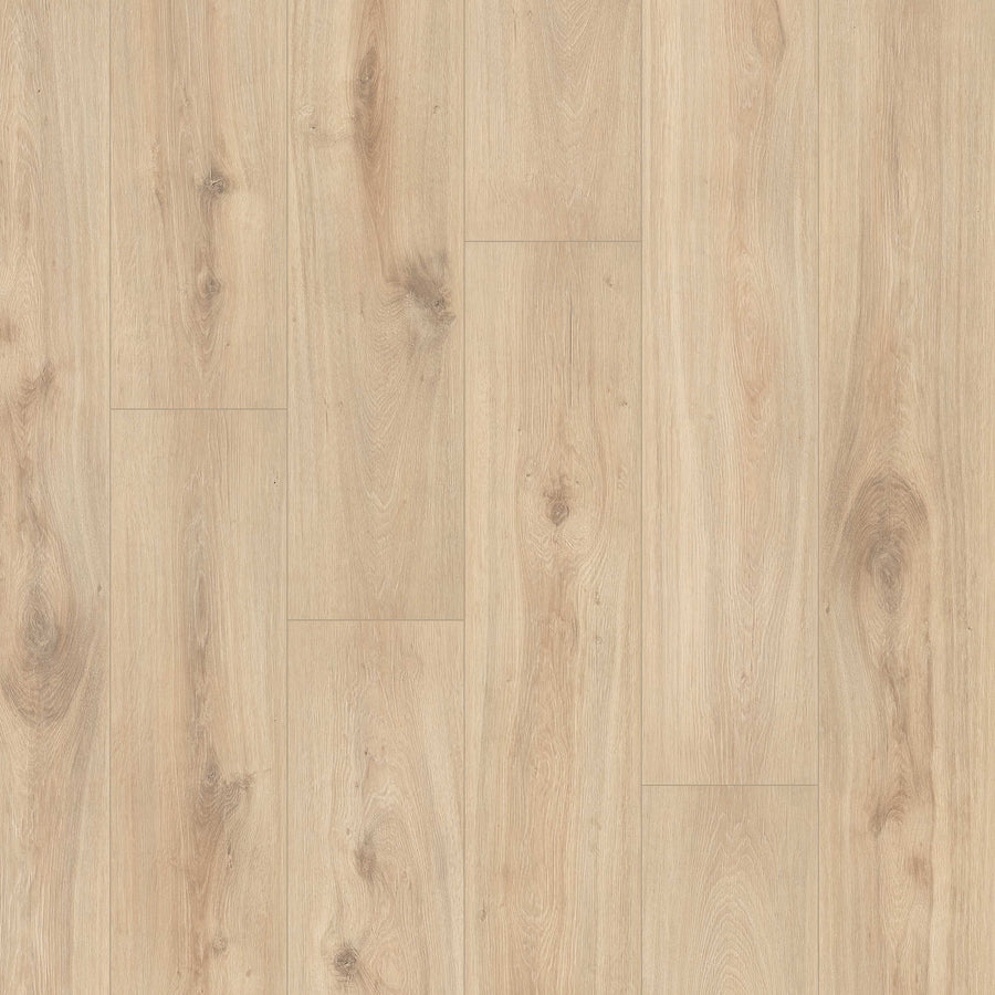 MSI - Smithcliffs™ Collection - Sunnyvale - 7.5” x 50”
