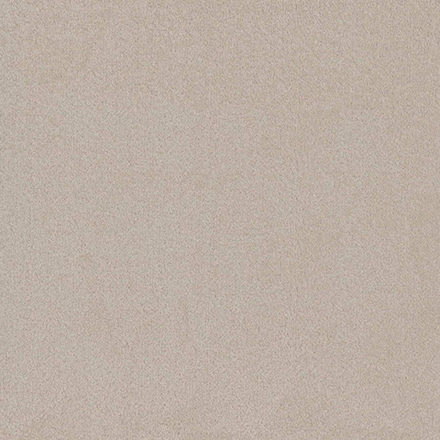 Tarkett Adorn Luxurious carpet swatch