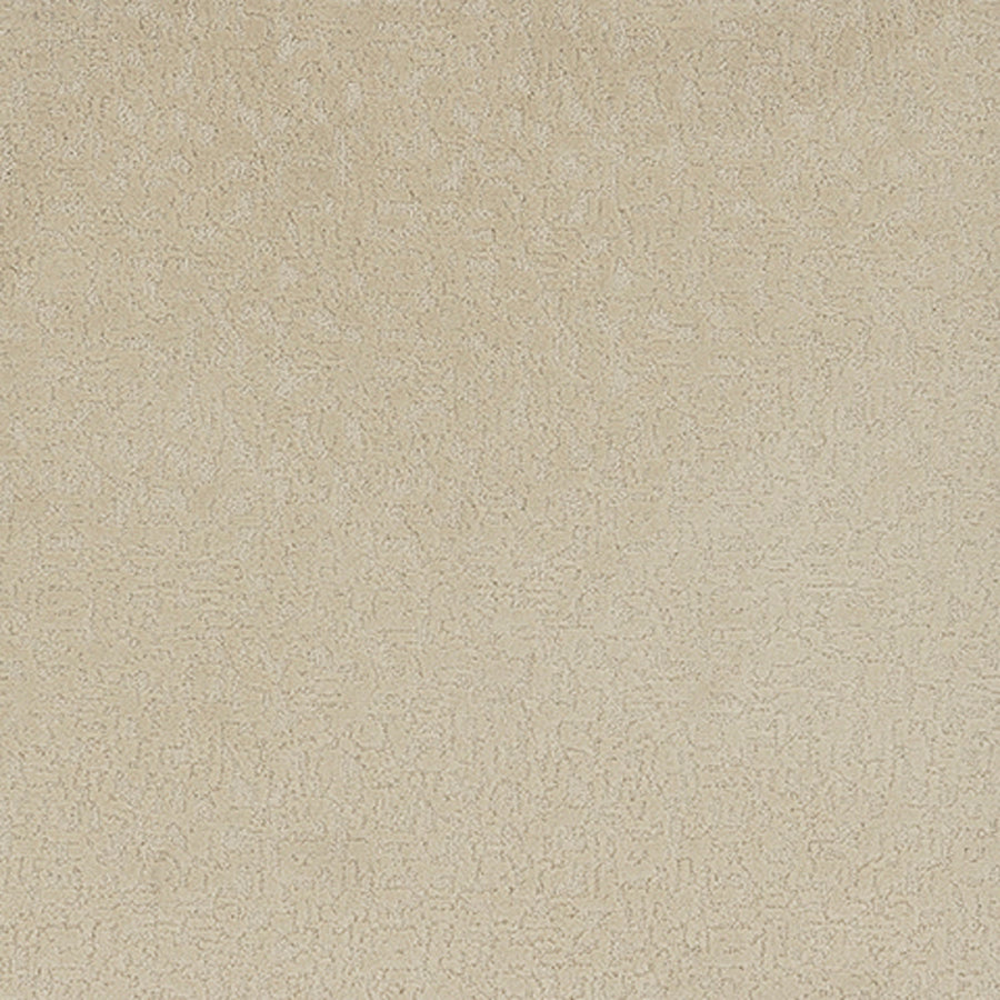 Tarkett Aesthetic Whisper carpet swatch