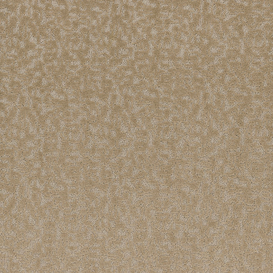Tarkett Aesthetic Mindful carpet swatch