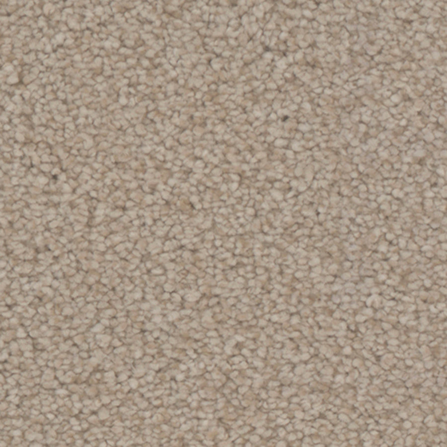 Tarkett Avalon Borough carpet swatch