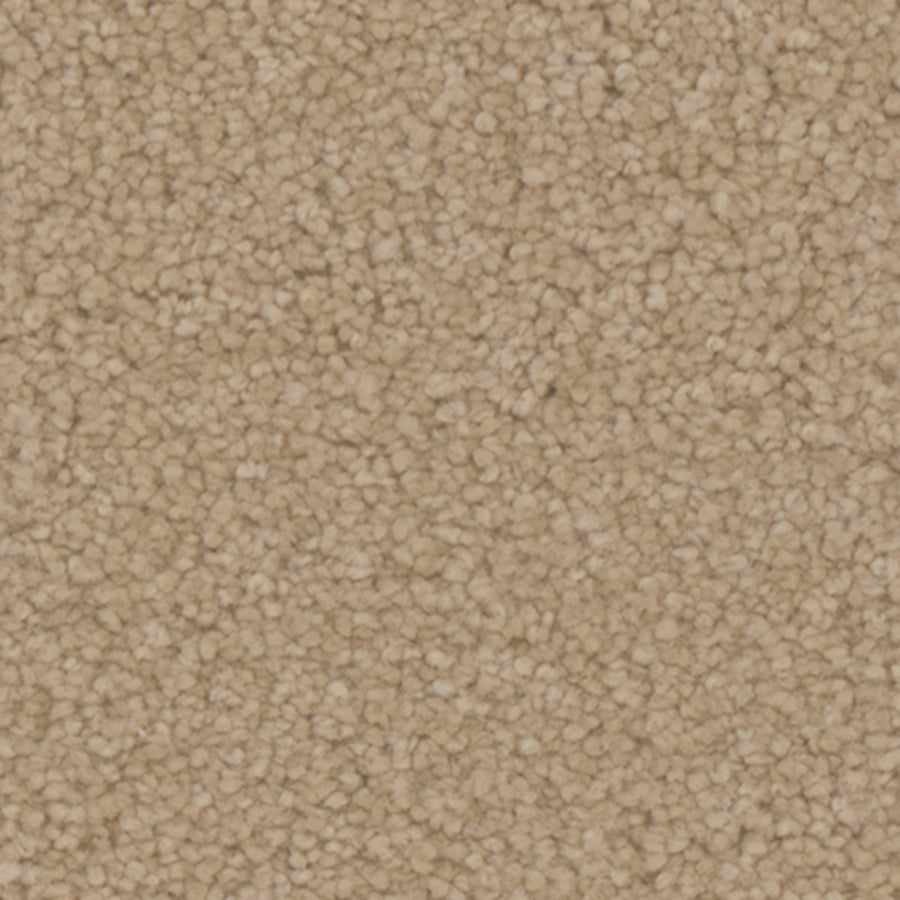 Tarkett Avalon Bungalow carpet swatch