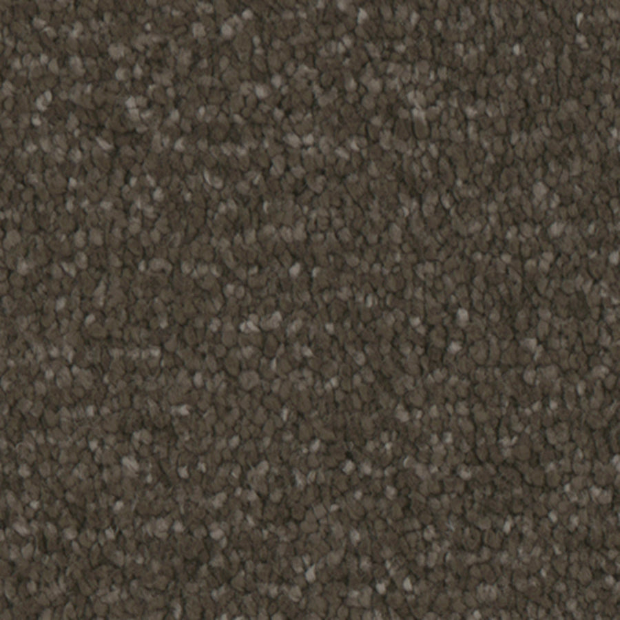 Tarkett Avalon Woodlands carpet swatch