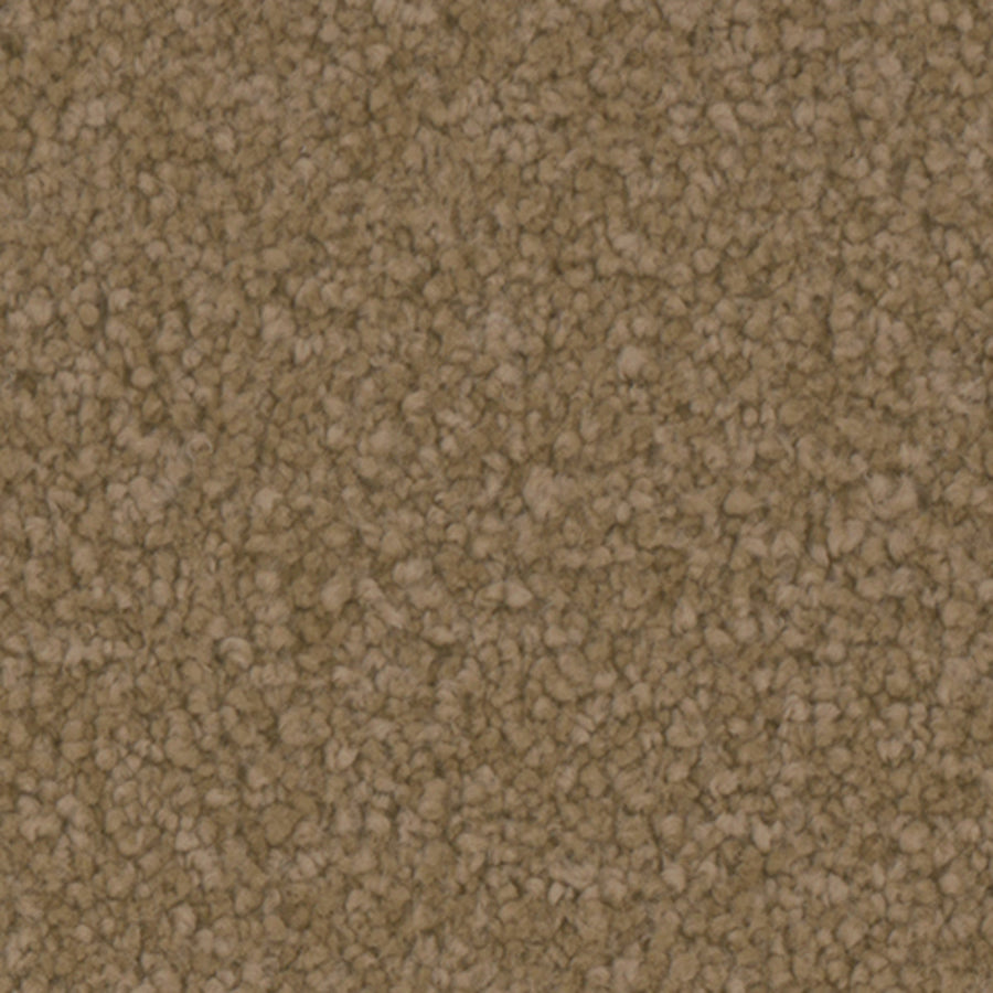 Tarkett Balmoral Treasure carpet swatch