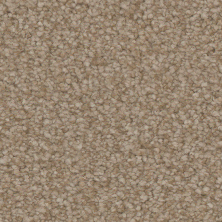 Tarkett Balmoral Cottage carpet swatch