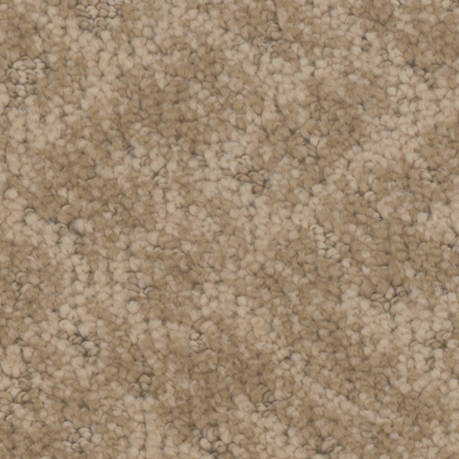 Tarkett Cheshire Dwelling carpet swatch