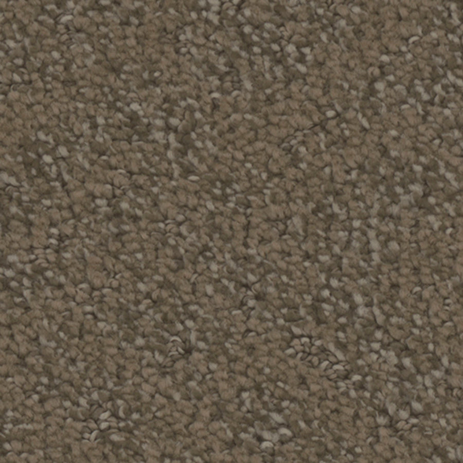 Tarkett Cheshire Whimsical carpet swatch