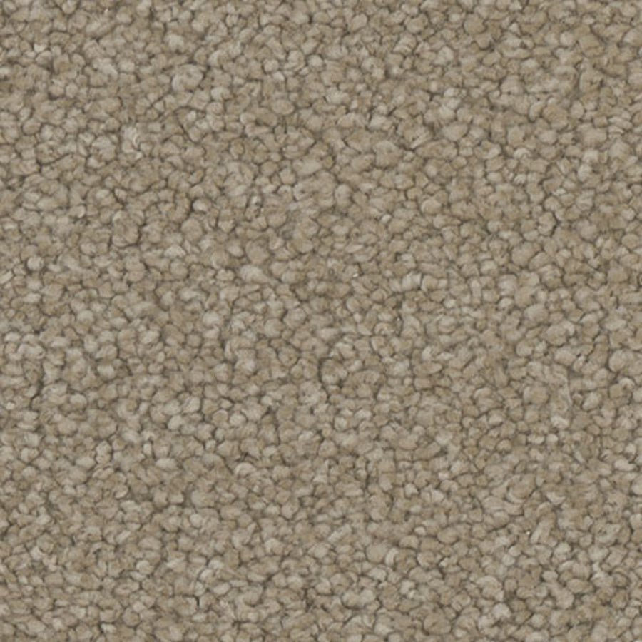Tarkett Enamour Beauty carpet swatch