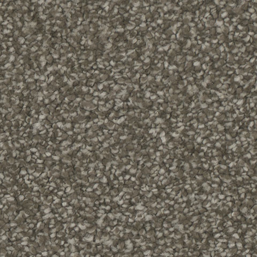 Tarkett Enamour Inviting carpet swatch