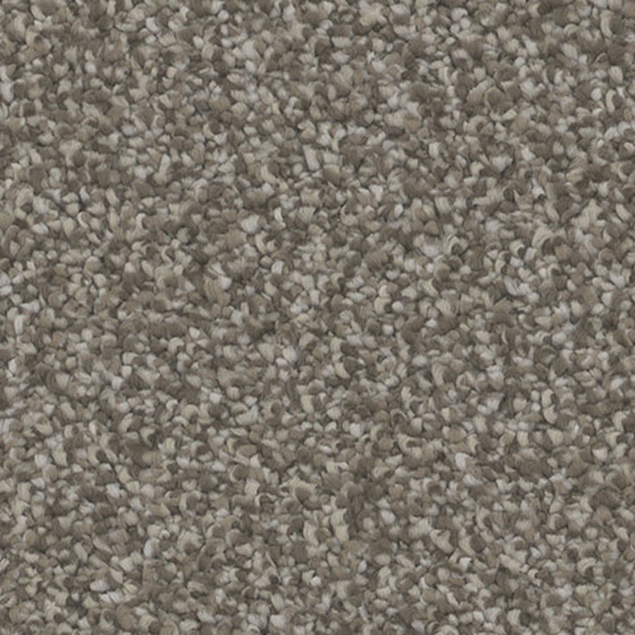 Tarkett Influence Captivate carpet swatch