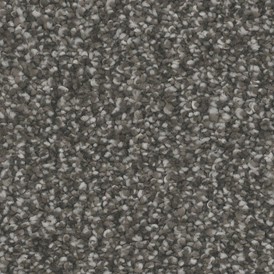 Tarkett Inspire Bewitch carpet swatch