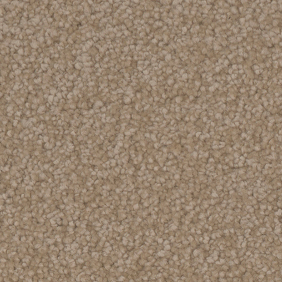 Tarkett Providence Countryside carpet swatch