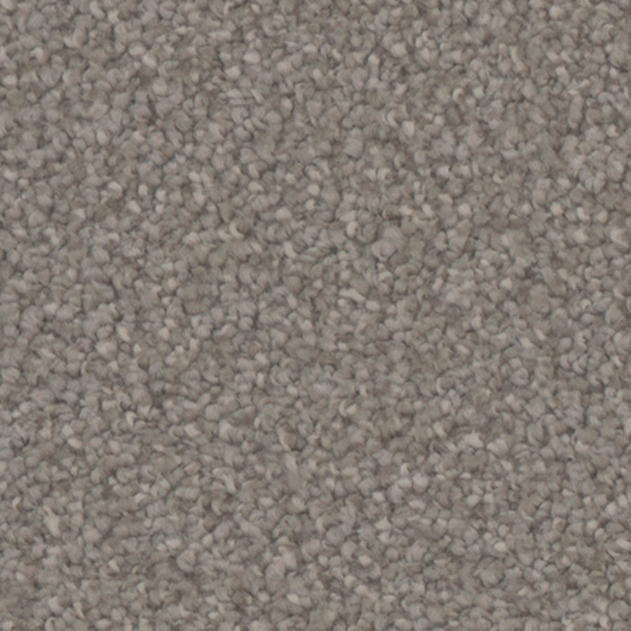 Tarkett Providence Heritage carpet swatch
