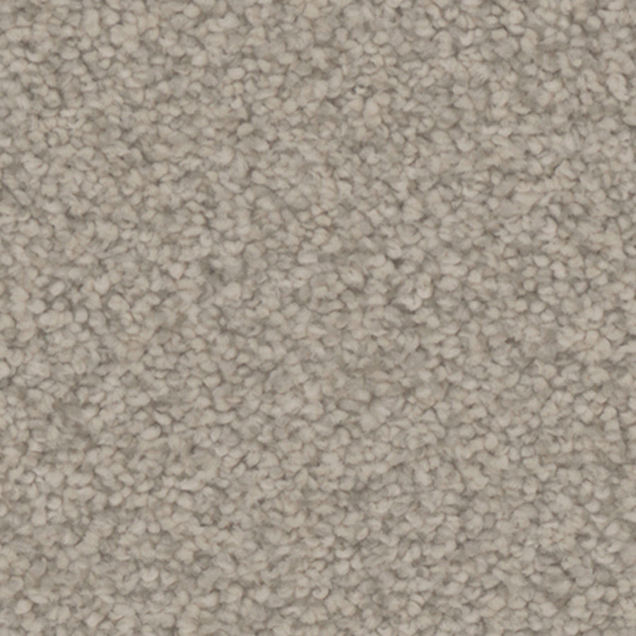 Tarkett Providence Haven carpet swatch