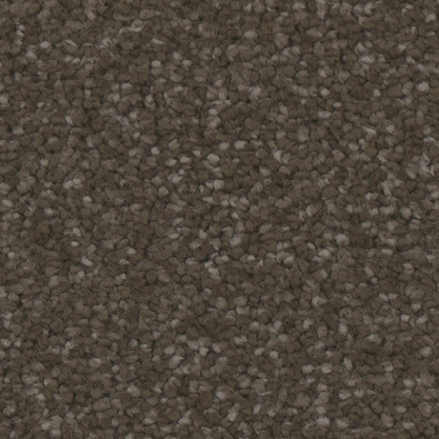 Tarkett Providence Woodlands carpet swatch