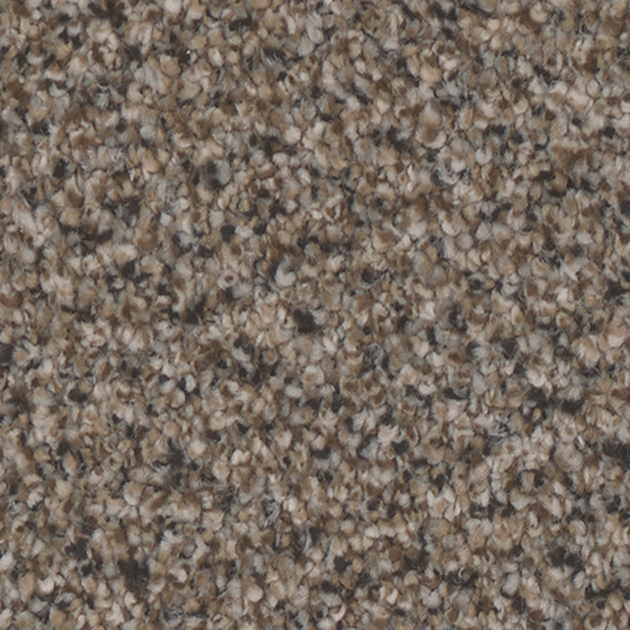 Tarkett Riviera Stately carpet swatch