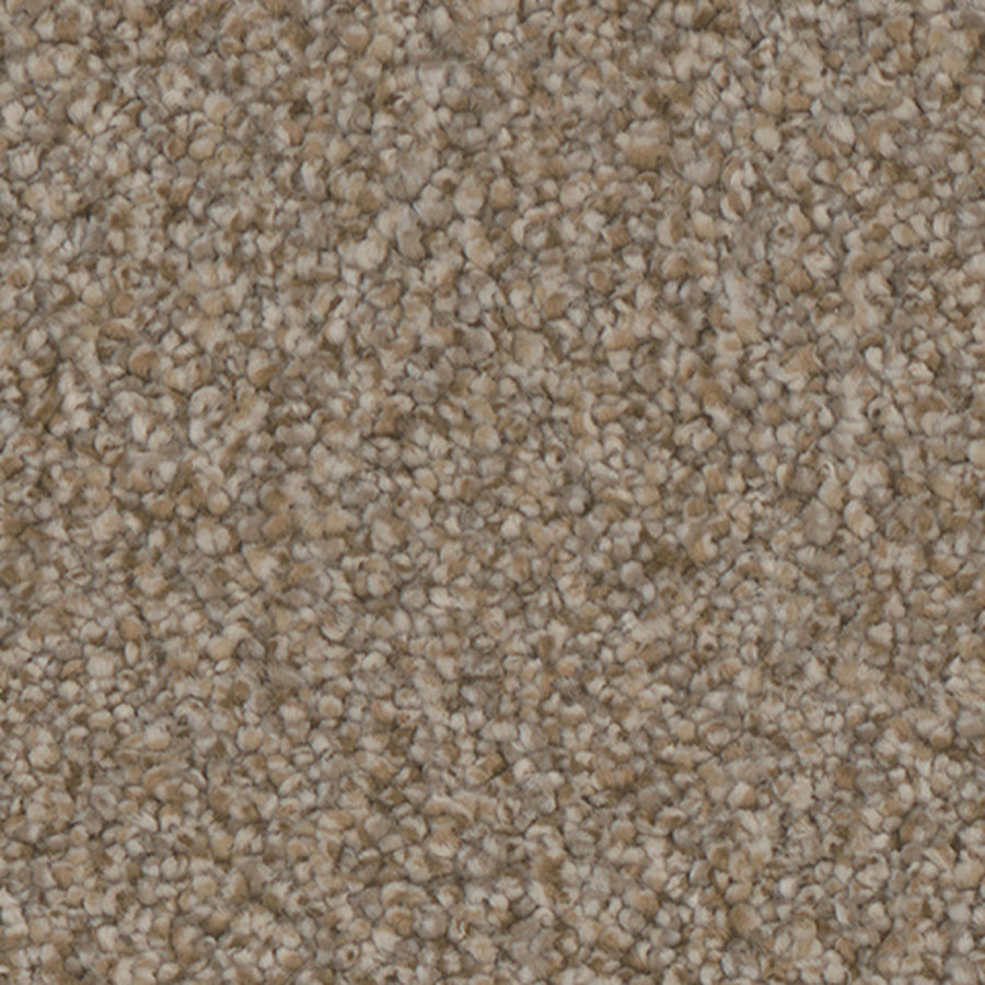 Tarkett Summerland Lavish carpet swatch