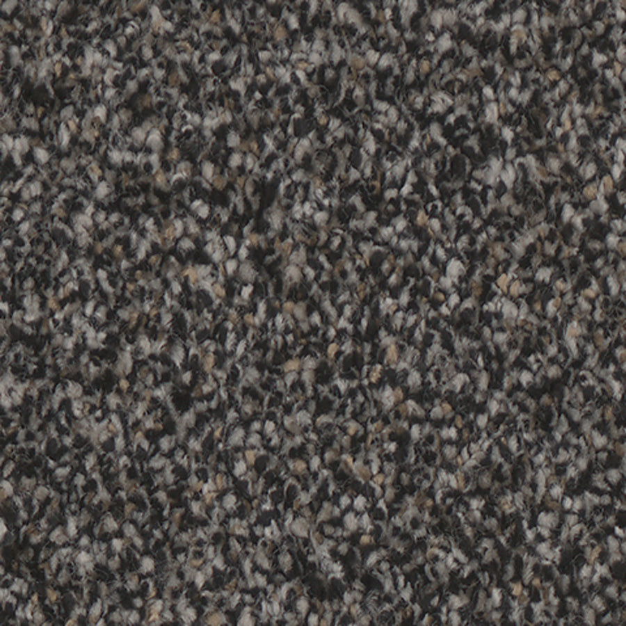 Tarkett Summerland Stunning carpet swatch
