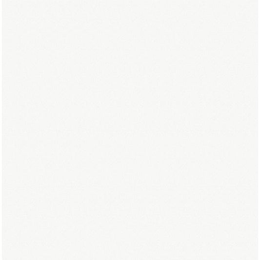 OLYMPIA TILE + STONE - Unicolour Series - Porcelain Tile - White Other Colours - 12" x 24"
