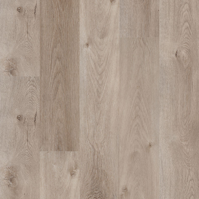 MSI Surfaces - Cyrus® 2.0TM - Whitfield Gray
