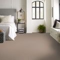 SHAW FLOORS - CARPET - SIMPLY THE BEST - LOOP DE LOOP - PEBBLE PATH
