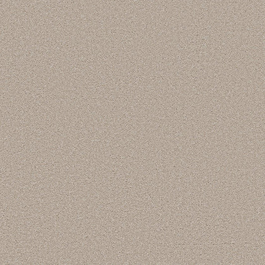 SHAW FLOORS - CARPET - WONDERLAN III - 12' - OUTER BANKS