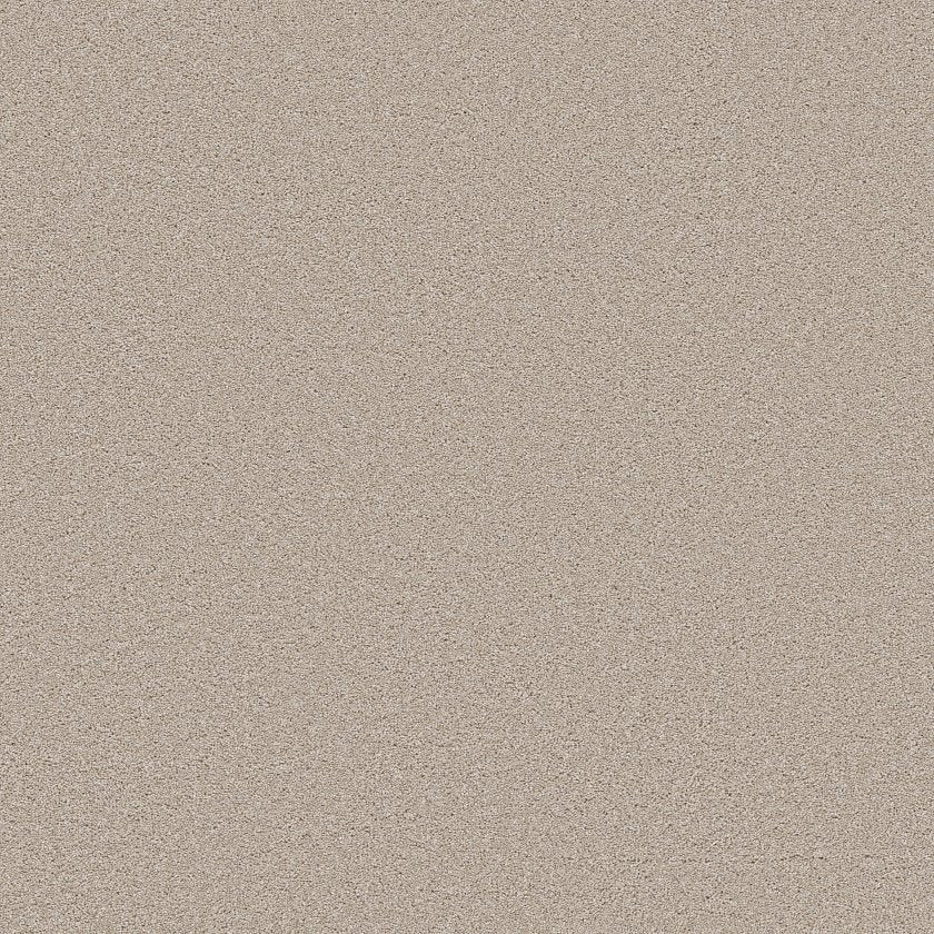 SHAW FLOORS - CARPET - WONDERLAN III - 12' - OUTER BANKS