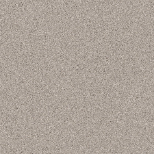 SHAW FLOORS - CARPET - WONDERLAN III - 12' - SILENCE