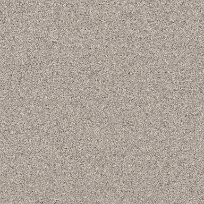 SHAW FLOORS - CARPET - WONDERLAN III - 12' - SILENCE