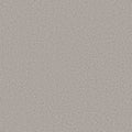 SHAW FLOORS - CARPET - WONDERLAN III - 12' - ANTIQUITY