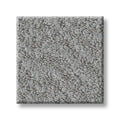Shaw Floors - Carpet - Foundations Collection  - Alluring Canvas - Sentimental