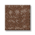 SHAW FLOORS - CARPET - TAILORED CRAFT - HEIRLOOM
