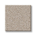 SHAW FLOORS - CARPET - WONDERLAN III - 12' - OUTER BANKS