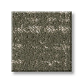 SHAW FLOORS - CARPET - TAILORED CRAFT - IVY LEAUGE