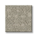 SHAW FLOORS - CARPET - TAILORED CRAFT - STONEWASH