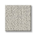 SHAW FLOORS - CARPET - TAILORED CRAFT - STERLING