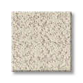 SHAW FLOORS - CARPET - TAILORED CRAFT - OXFORD