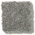 Shaw Floors - Carpet - Full Court 12' - Ink Spot