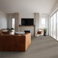 SHAW FLOORS - CARPET - SIMPLY THE BEST VALUES COLLECTION - TRUSPLENDOR - 12' - IRON WORKS