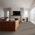 SHAW FLOORS - CARPET - SIMPLY THE BEST VALUES COLLECTION - TRUSPLENDOR - 12' - COBBLE DRIVE