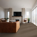 SHAW FLOORS - CARPET - SIMPLY THE BEST VALUES COLLECTION - TRUSPLENDOR - 12' - CHESTNUT